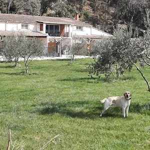  Hébergement de vacances Le Mas Des Oliviers